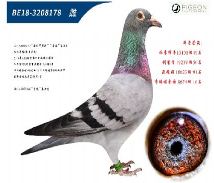 wȷǱԭᣨP(gun)ٶһ