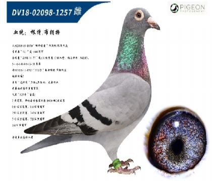 زʸoh(hun)̖(ho)(gu)(zhn)