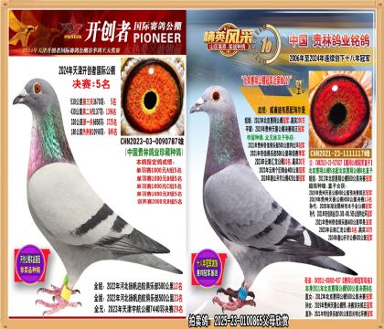 _(chung)5䱱蹫܊ֱŮ
