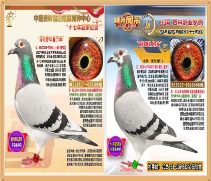 r911ֱ䱣r911OŮHN