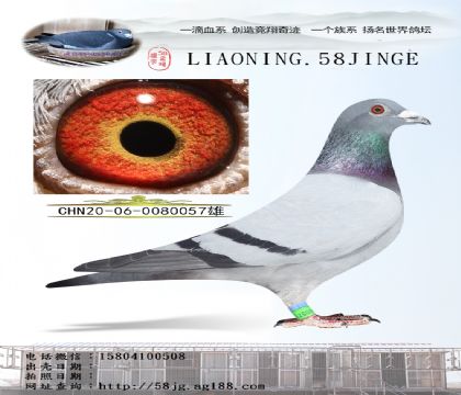 ^wꡰɿ(j)԰l(f)]4 057