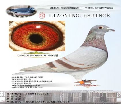 tֱOŮ FDֱŮ53025560