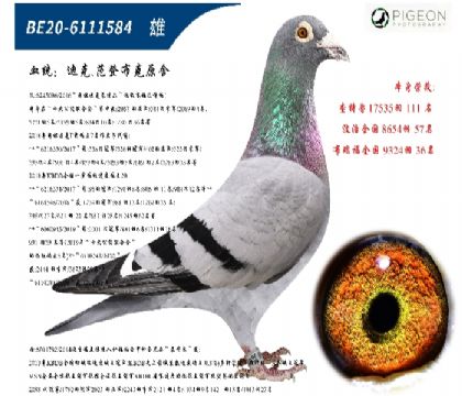 Ͽ˷ǲ˻ؠ006ֱӣ(zhn)Nۣ