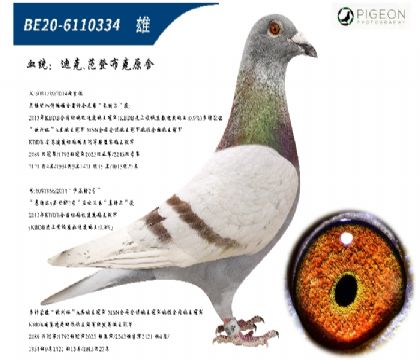 ǲ˺üt̖(ho)ֱؠֱŮٶһ