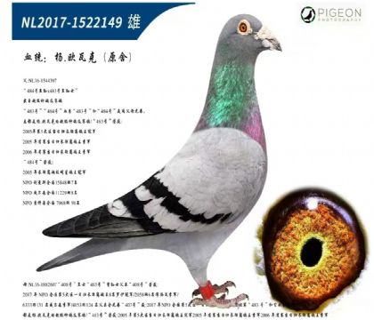 W߿483484HѪ؄eƣ