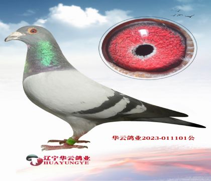 cۅNXph(hun)ĸ 0099
