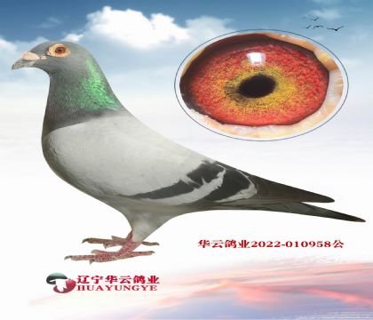 .ؿٻʵXᳬNSᡱ