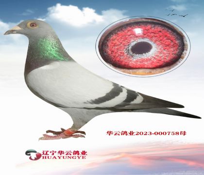 cۅNXph(hun)ĸ 0099