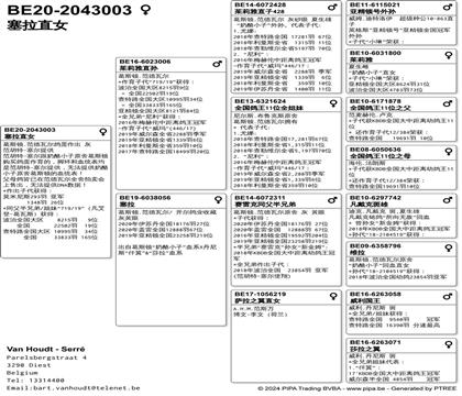 Ѫy(tng)