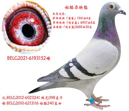 ĸW