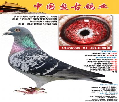 金環(huán):利奧·赫爾曼斯
