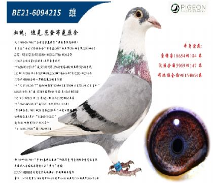 Ͽ˷ǲ˻ؠ006ֱӣٶһ