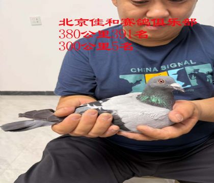 5.Ѻِ3005