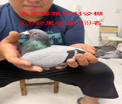 7.źQِ369