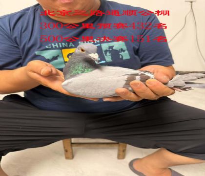 9.·ͨ혹Qِ151