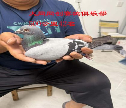12.ͬ(chung)ِ㘷50042