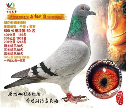 湫Qِ60
