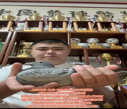 W߿˽(jng)䌦483ֱX484ֱŮ