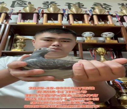 提速保血！乔斯.佛卡门野马号直子X直女近亲作育