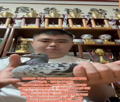 保血提速/利奥贺尔曼斯杨直子X直女近亲作育