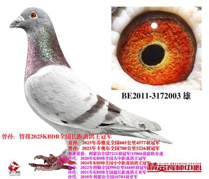 u֮