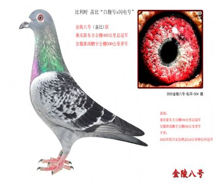 4r wȡ׸̖xW̖