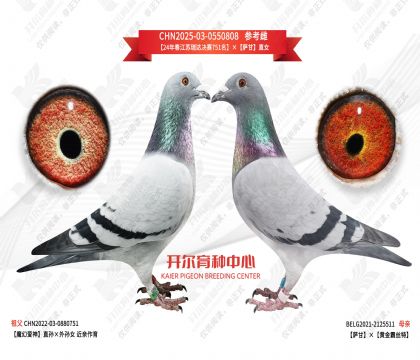 24괺K_Qِ751_ֱŮ