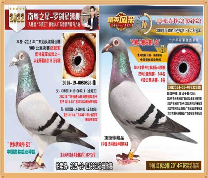 35fV|蹫܊ֱŮ