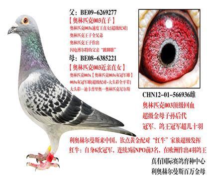 @ʯĸ936