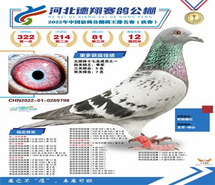 ĸ703ֱ
