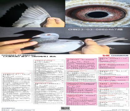 _(ki)ֱX(ju)WֱŮ467