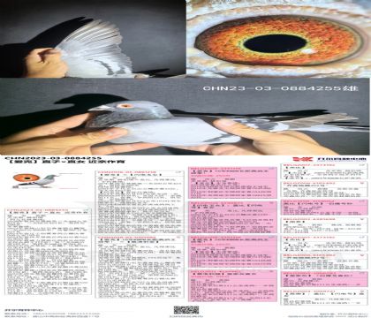 _(ki)(i)ֱX(ju)ֱŮ255