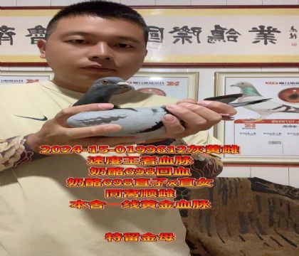 ߼(j)ĸ698ֱxֱŮͬC혴