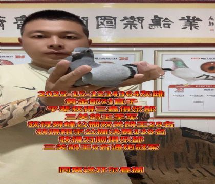 S䌦(du)ֱϵͬC_߼(j)