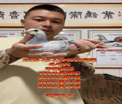 ţȮٶѪ}