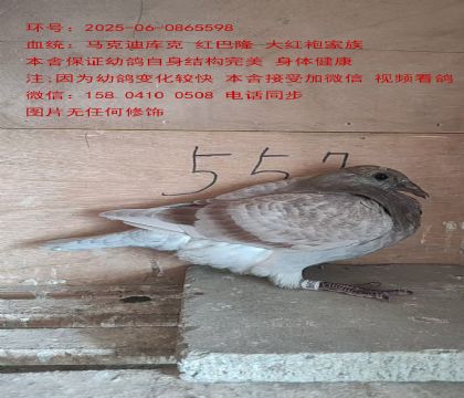 R(k)ώ(k)ˡt¡FDֱŮ597