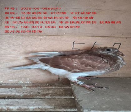 R˵ώ(k)ˡt¡FDֱŮ598