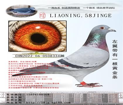ù