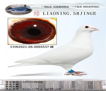 ĸH һƷ537