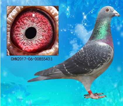 H ڱtֱO