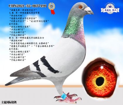 速霸龍黃金配對直子