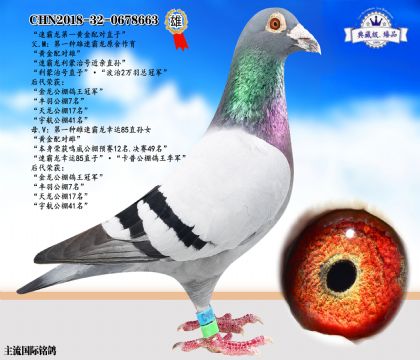 速霸龍黃金配對直子