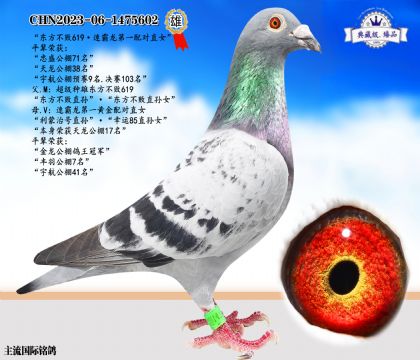 東方不敗神奇619·速霸龍黃金配對直女