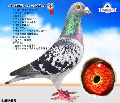 大慶飛雪原舍作育考夫曼·速霸龍