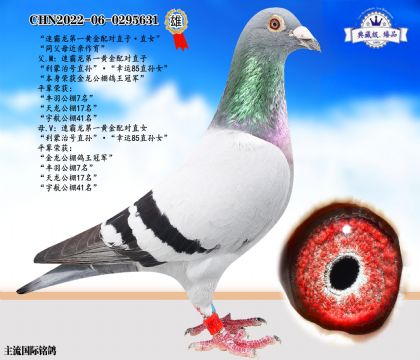 速霸龍黃金配對直子·直女