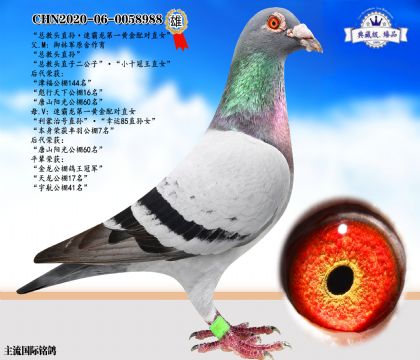 總教頭直孫·速霸龍黃金配對直女