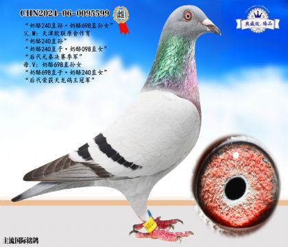 奶酪240直孫·奶酪698孫女