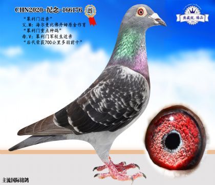 幕利門近親