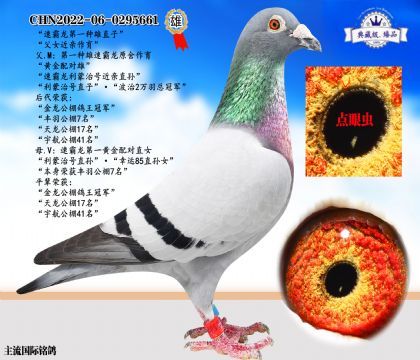 速霸龍第一種雄近親直子