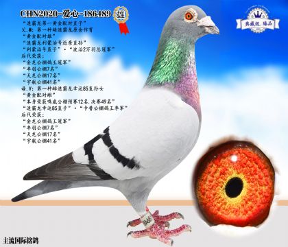 速霸龍黃金配對直子